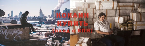 кокс Ельня