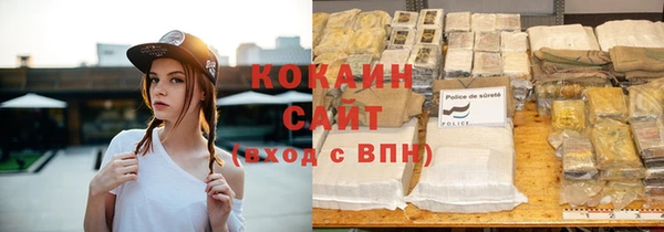 индика Елабуга