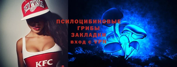 кокс Ельня