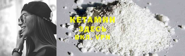 индика Елабуга