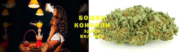 индика Елабуга