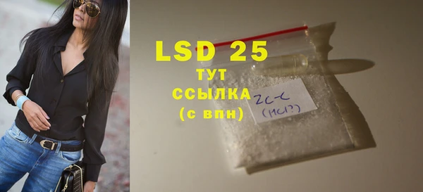 индика Елабуга
