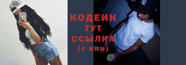 индика Елабуга