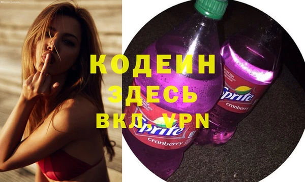 индика Елабуга