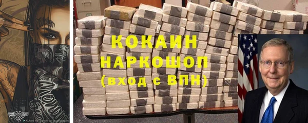 индика Елабуга