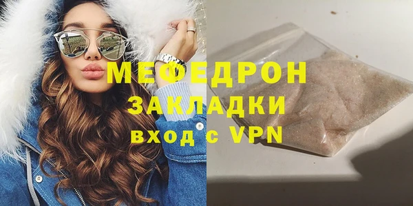 индика Елабуга