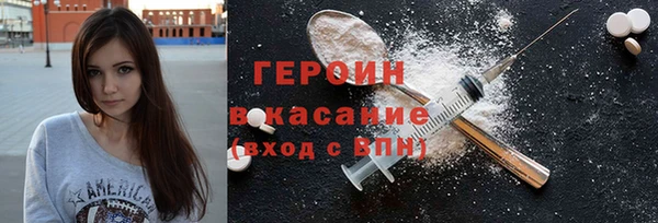индика Елабуга