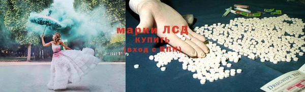 индика Елабуга