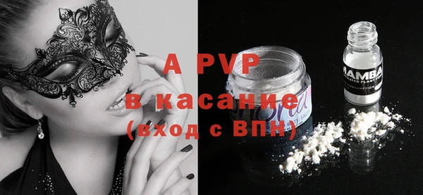 индика Елабуга