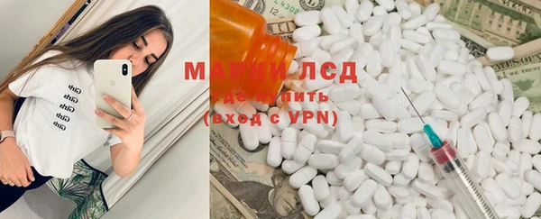 индика Елабуга