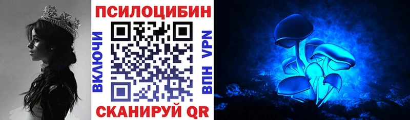 omg маркетплейс  Гороховец  Псилоцибиновые грибы GOLDEN TEACHER 