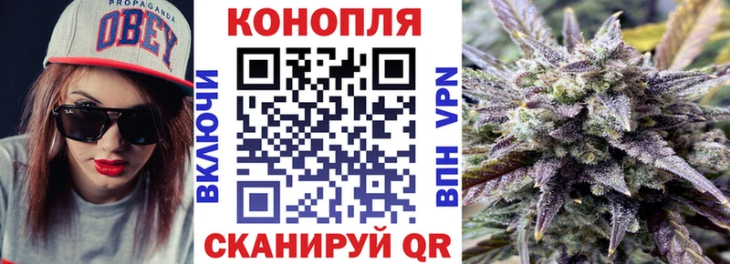 Конопля SATIVA & INDICA  дарнет шоп  Гороховец 